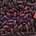 New Crop Dark Red Kidney Bean Food Grade